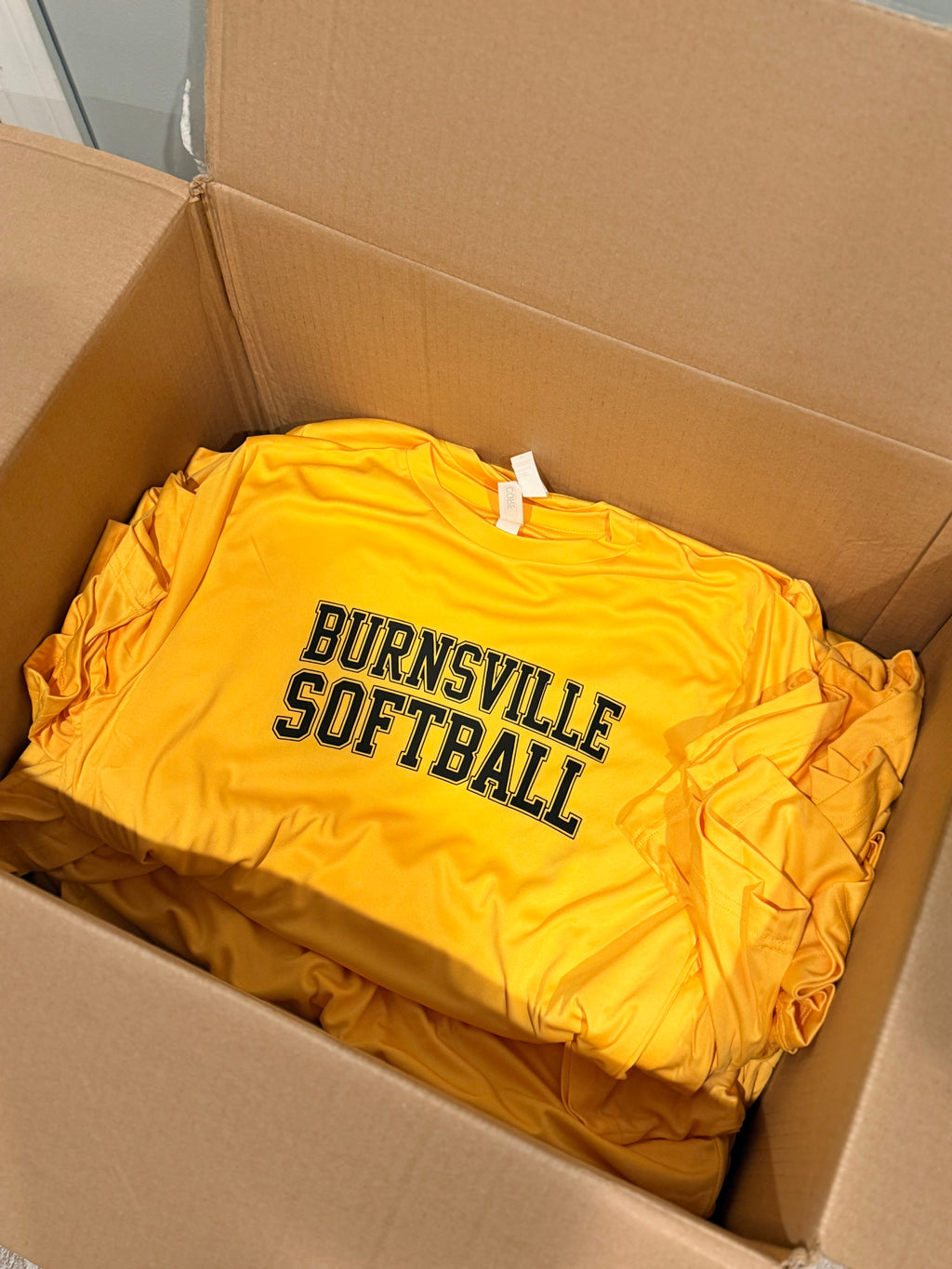 Custom T-shirt (Sports team/association, business, holiday or personal)