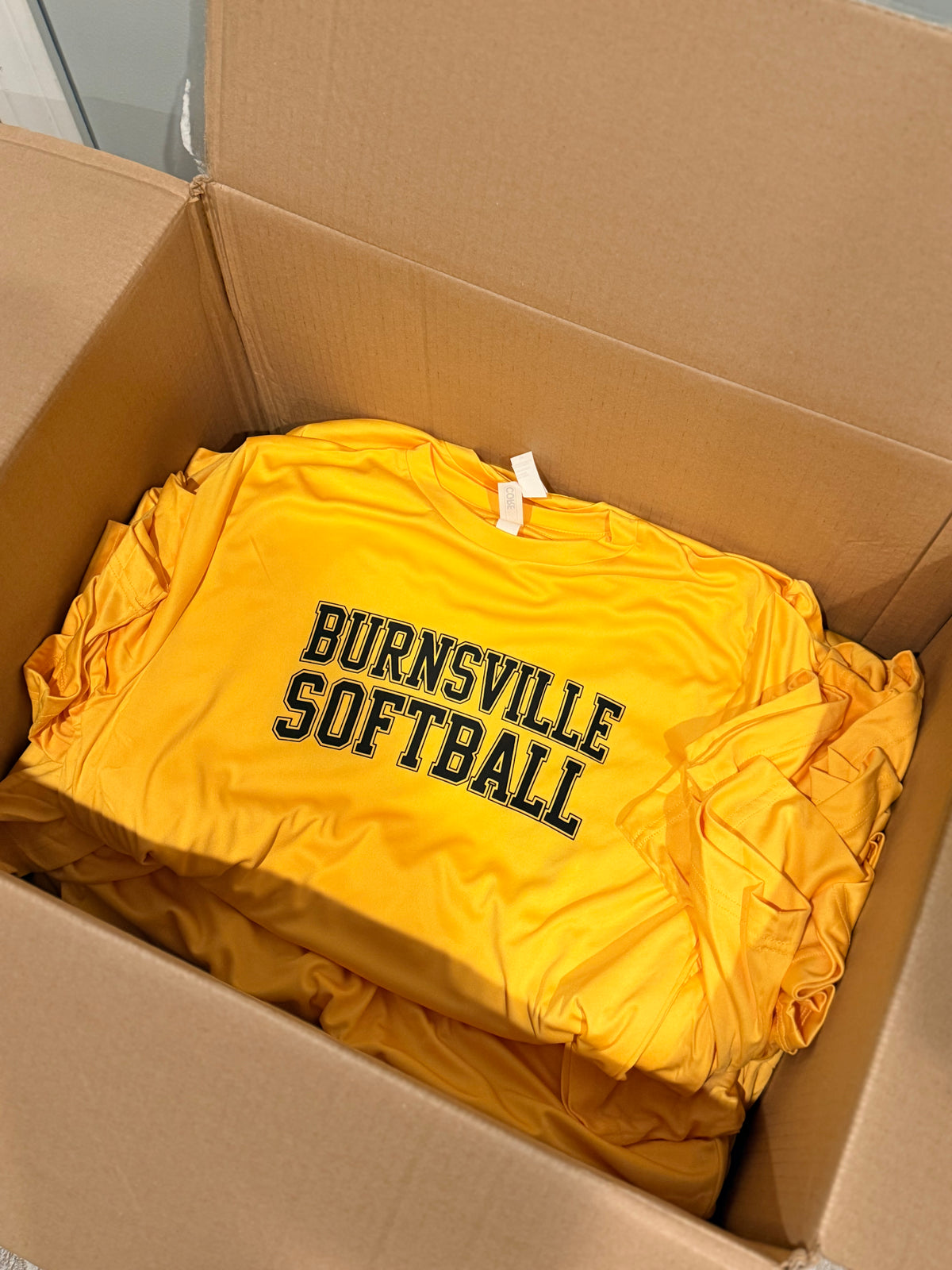 Custom T-shirt (Sports team/association, business, holiday or personal)